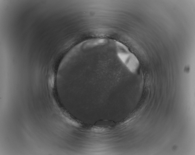 X0000097650076200803211906