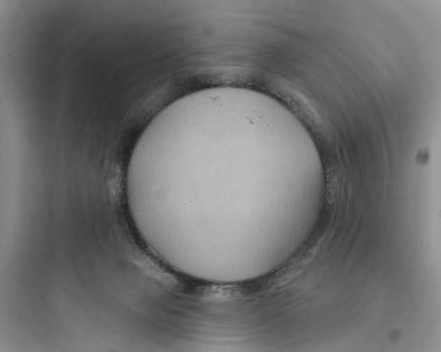 X0000097650077200803211906