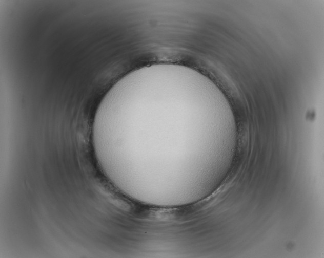 X0000097650078200803211906