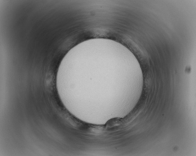 X0000097650079200803211906