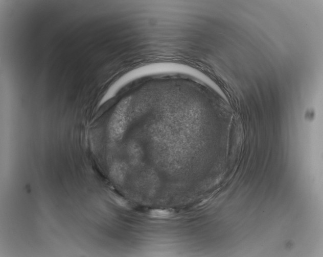 X0000097650080200803211906