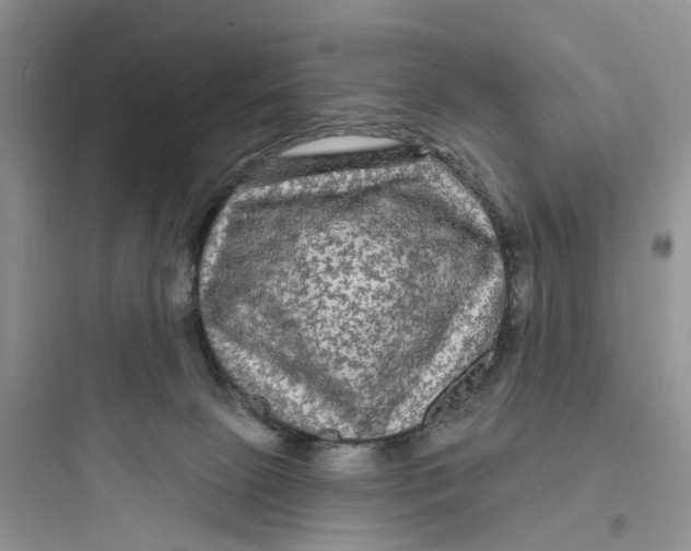 X0000097650081200803211906