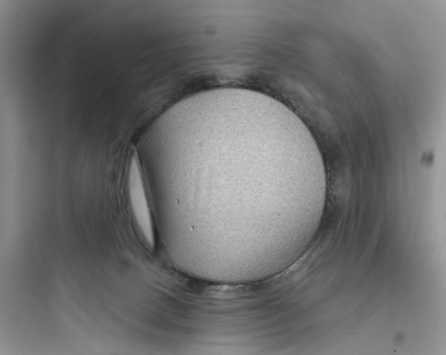 X0000097650082200803211906