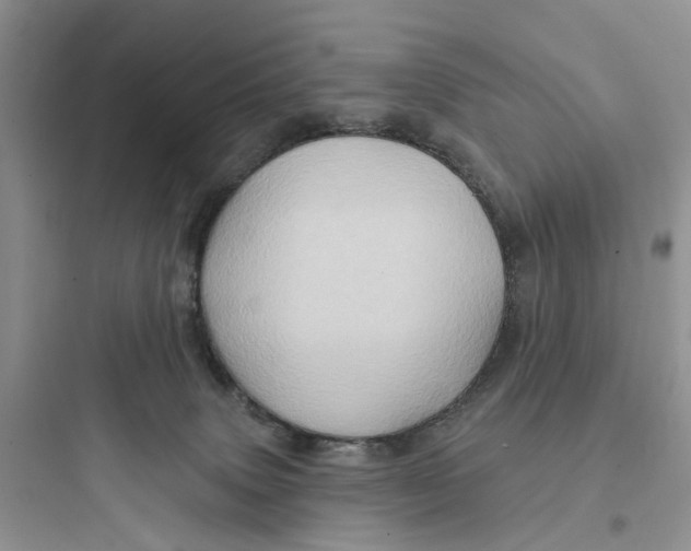 X0000097650083200803211906