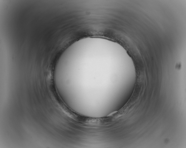 X0000097650084200803211906