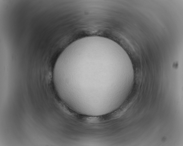 X0000097650085200803211906