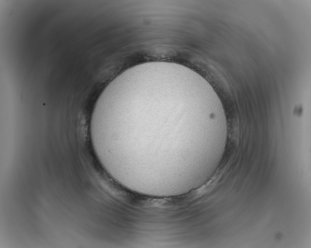 X0000097650086200803211906