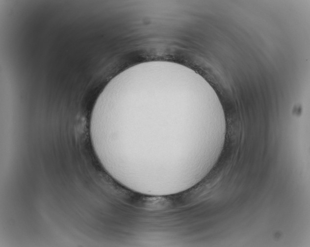 X0000097650087200803211906