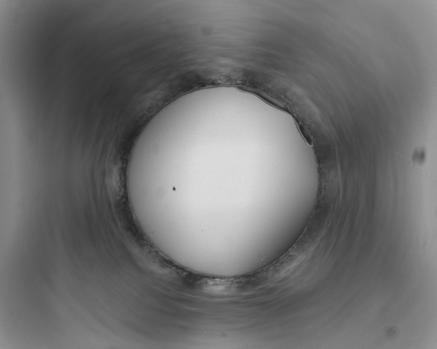 X0000097650088200803211906