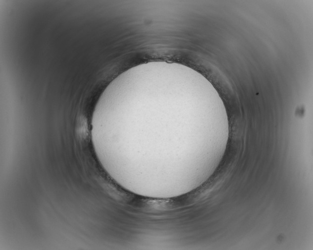 X0000097650089200803211906