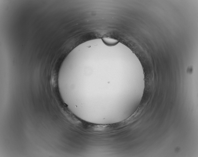 X0000097650090200803211906