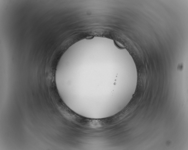 X0000097650091200803211906