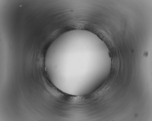 X0000097650092200803211906