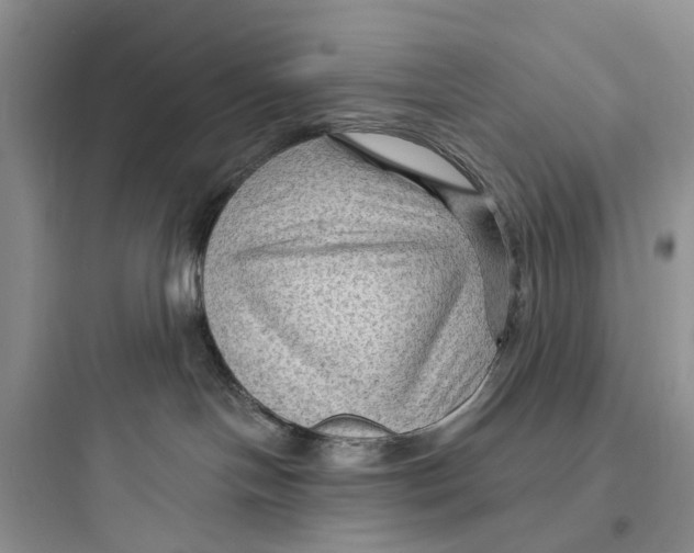 X0000097650094200803211906