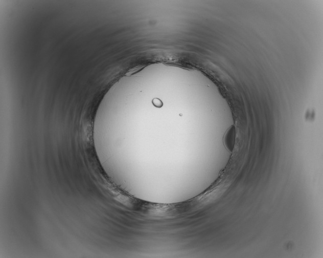 X0000097650096200803211906