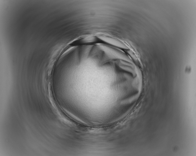 X0000097650097200803211905