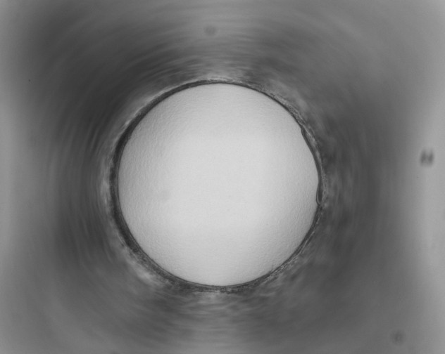 X0000097650098200803211905