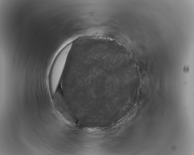 X0000097650100200803211905