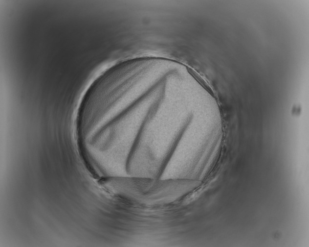 X0000097650104200803211905