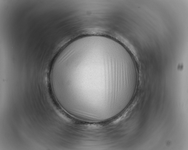 X0000097650105200803211905