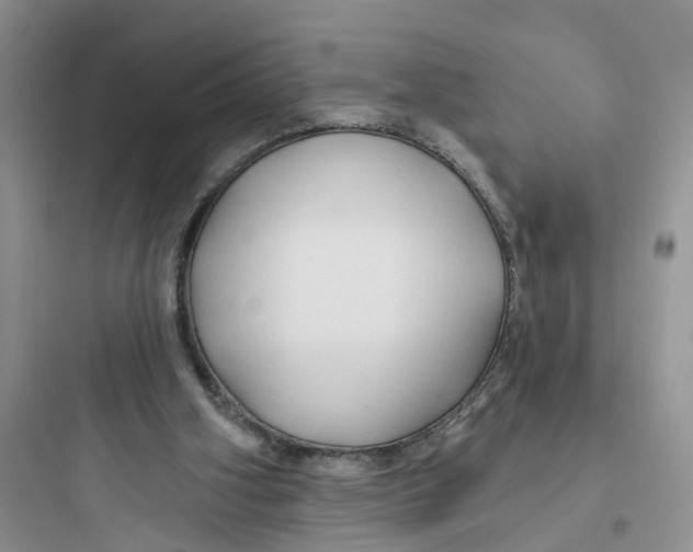 X0000097650106200803211905