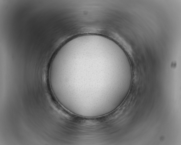 X0000097650107200803211905