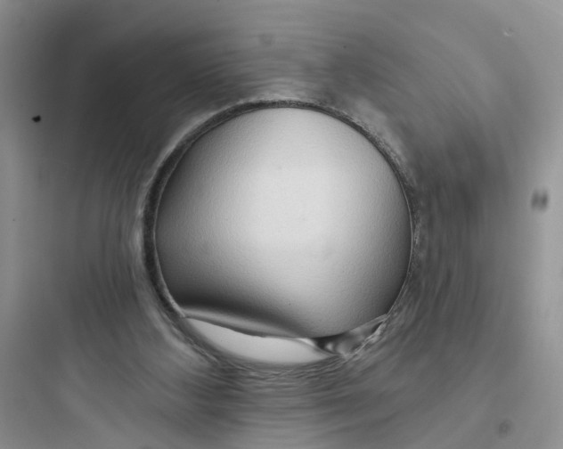 X0000097650108200803211905