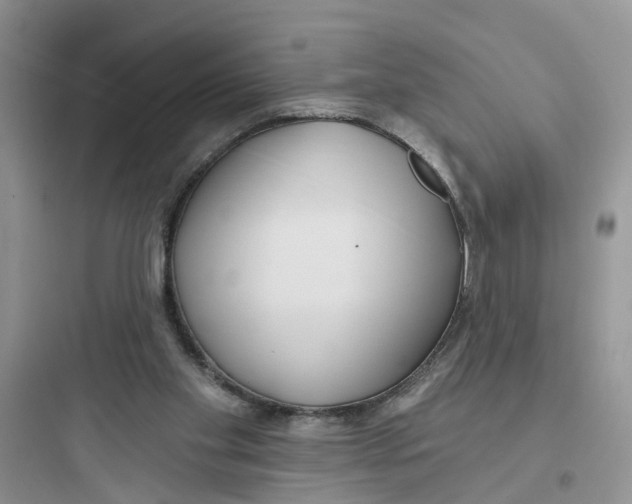 X0000097650109200803211905