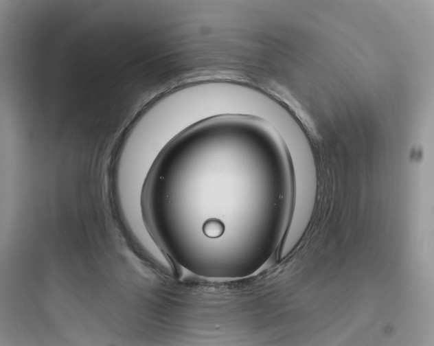 X0000097650110200803211905