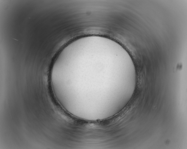 X0000097650111200803211905