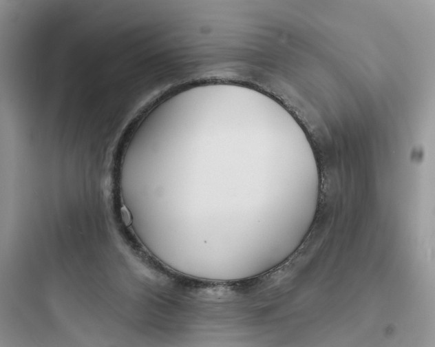 X0000097650112200803211905