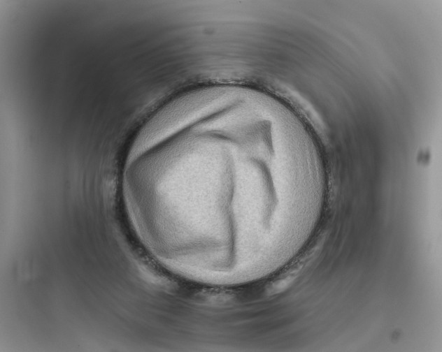 X0000097650113200803211905