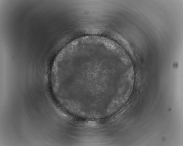 X0000097650114200803211905