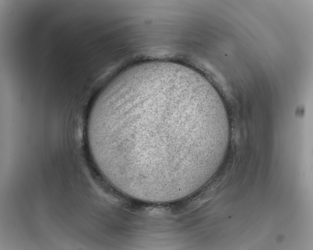 X0000097650115200803211905