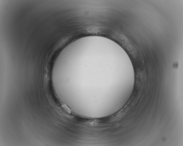 X0000097650116200803211905