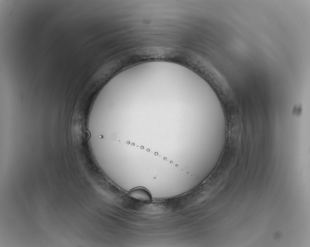 X0000097650119200803211905