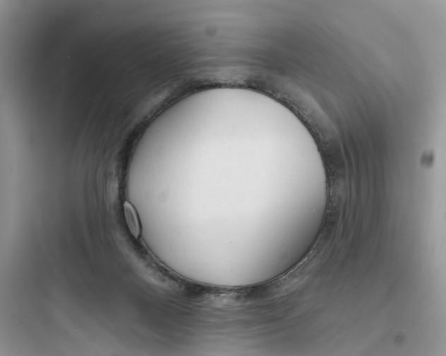 X0000097650120200803211905