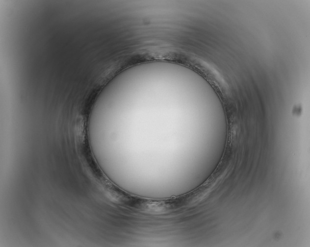 X0000097650121200803211905