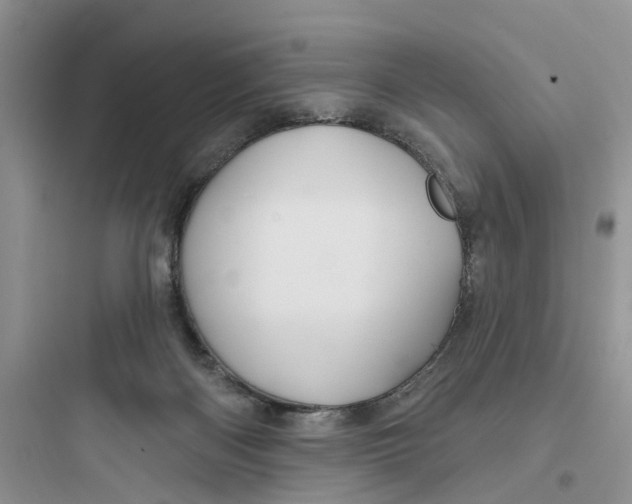 X0000097650122200803211905