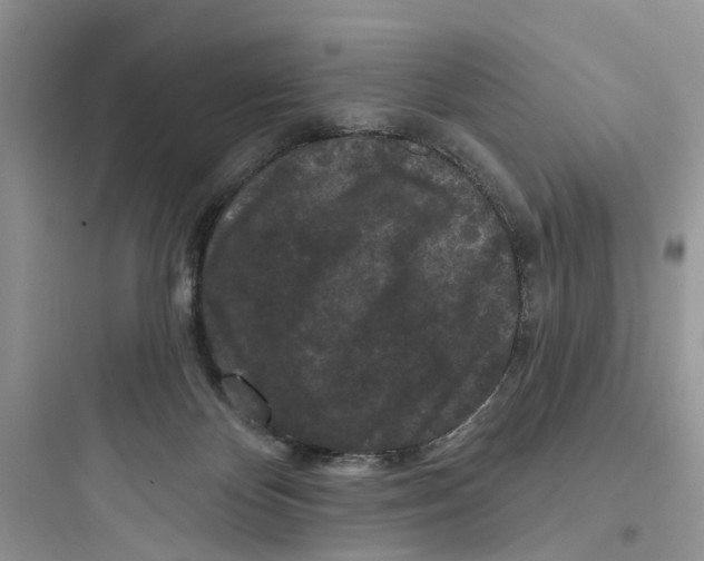 X0000097650124200803211905