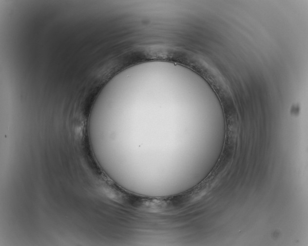 X0000097650125200803211905