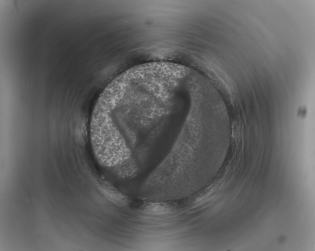 X0000097650127200803211905