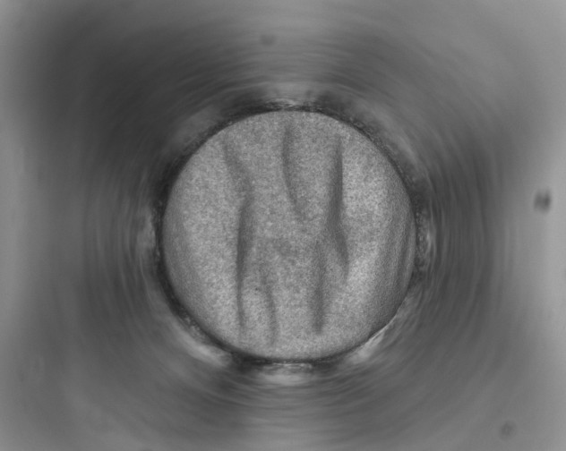 X0000097650128200803211905