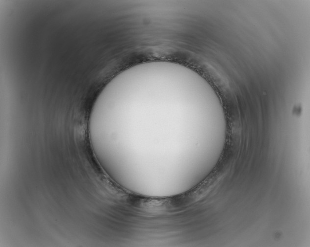 X0000097650129200803211905