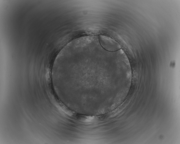 X0000097650130200803211905