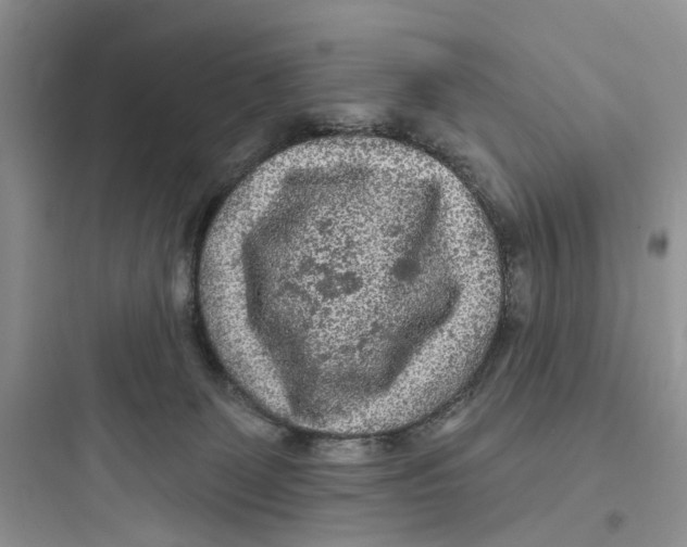 X0000097650131200803211905