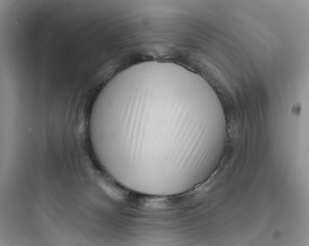 X0000097650132200803211905