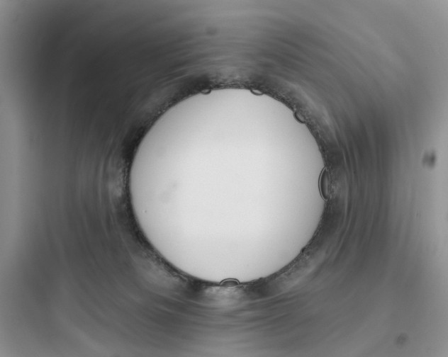 X0000097650133200803211905