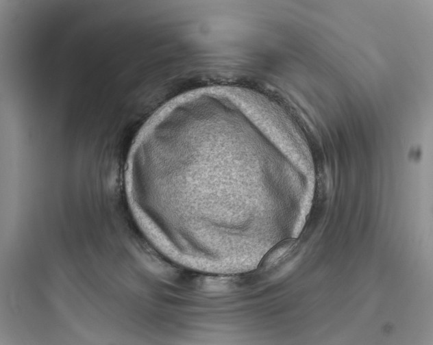 X0000097650134200803211905