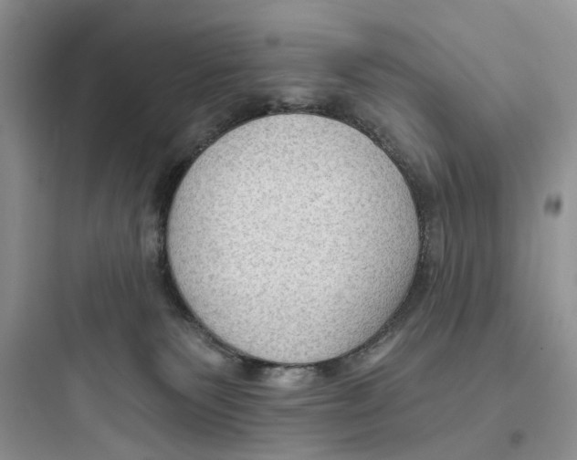 X0000097650135200803211905